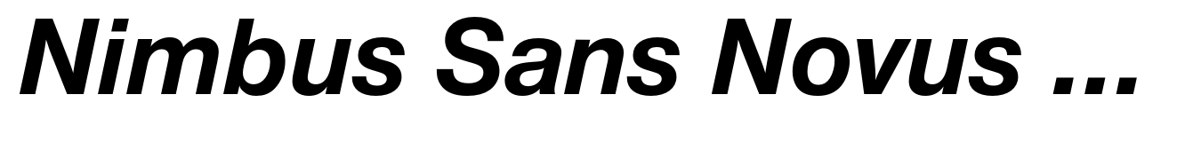 Nimbus Sans Novus Pro Bold Italic
